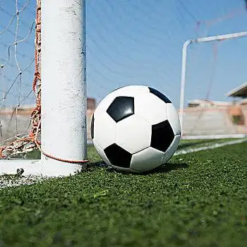 足球赛事观众使用场景